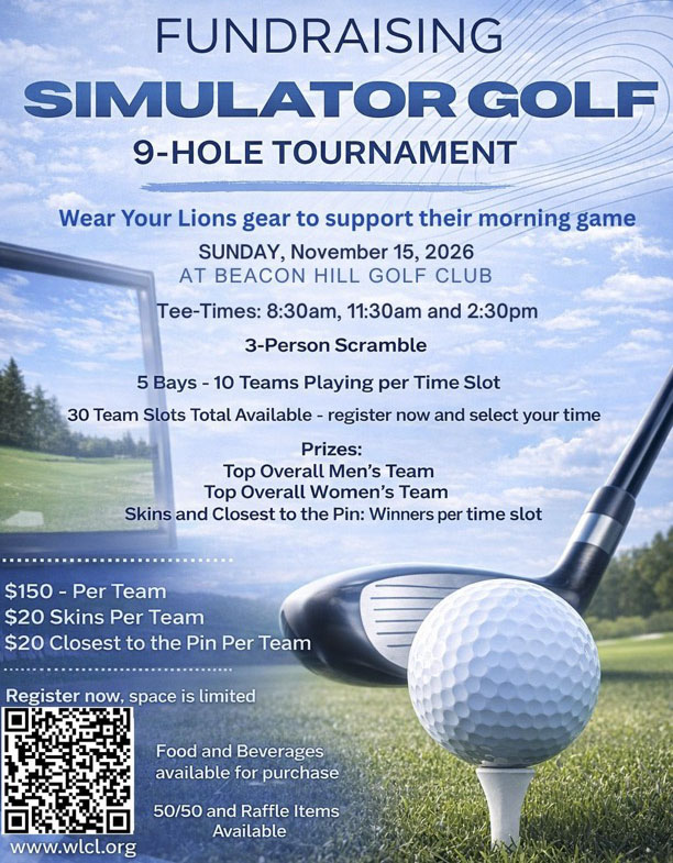 Simulator Golf