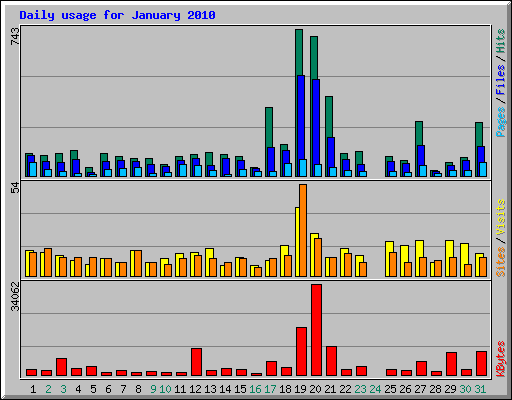 Daily usage for January 2010