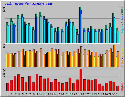 Daily usage for January 2026