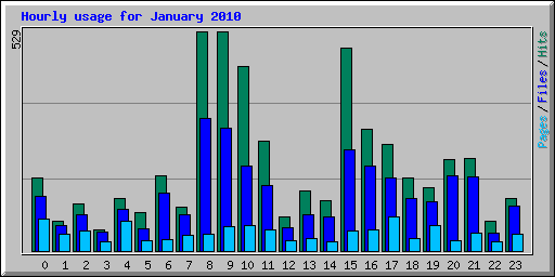 Hourly usage for January 2010