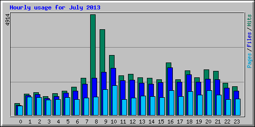 Hourly usage for July 2013