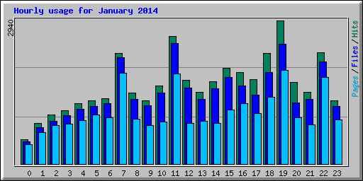 Hourly usage for January 2014