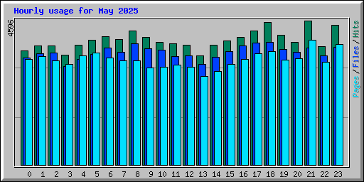 Hourly usage for May 2025