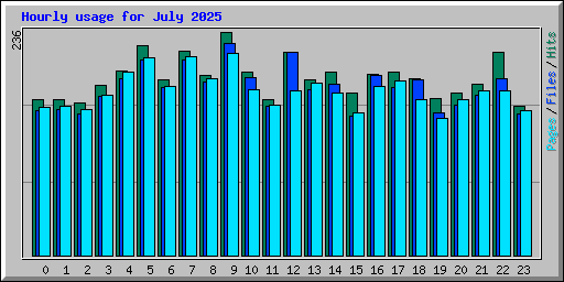 Hourly usage for July 2025