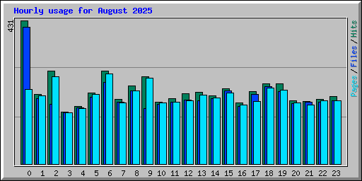 Hourly usage for August 2025